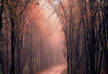 [天下足球]获足球记者认可 福登当选年度最佳.