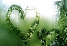 蒂莱曼斯:我们都接受了库尔图瓦的决定,如今球队重返正轨.