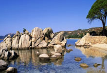 意大利杯单赛季进4球,亚伯拉罕为米兰近20个赛季第一人.